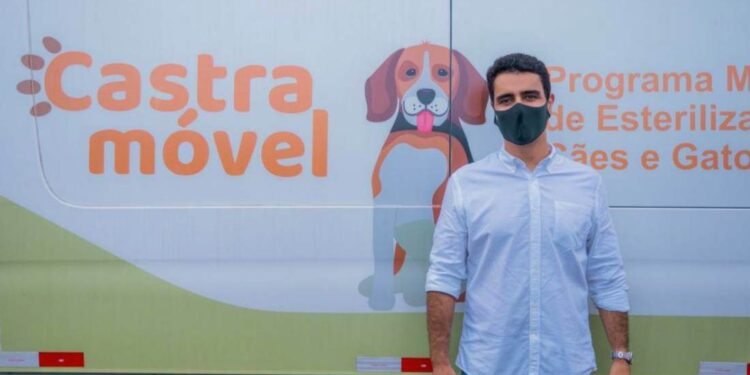 Prefeitura de Maceió abre edital para cadastro de ONGs e protetores independentes de animais