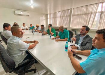 Câmara de Arapiraca se reúne para debater formação de comissões permanentes