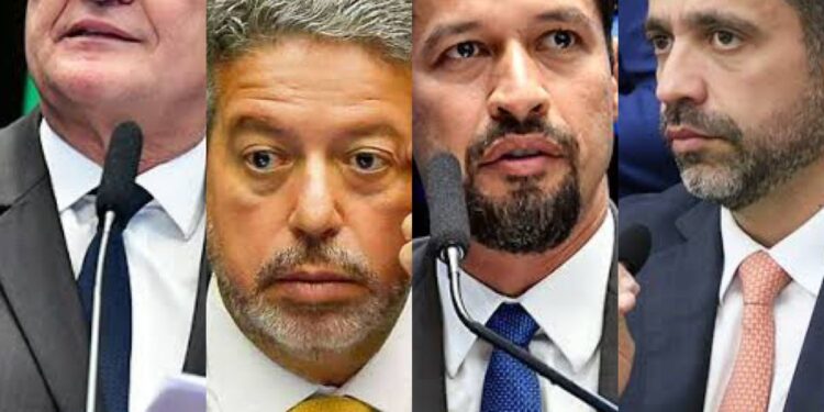 Briga de peixe grande