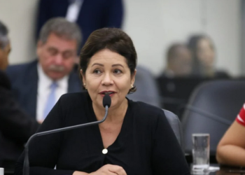 Rose Davino questiona própria atuação na ALE; “O que eu estou fazendo aqui dentro?”