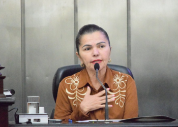 Angela Garrote retorna à Assembleia Legislativa de Alagoas