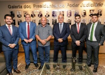 Prefeito de São Miguel dos Milagres participa de reunião com presidente do TJAL