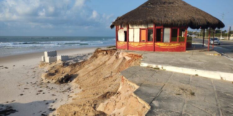 Avanço do mar: Defesa Civil interdita barraca na orla de Maceió