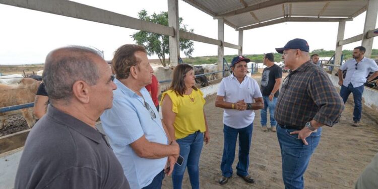 Prefeita destaca novas parcerias que prometem alavancar economia de Delmiro Gouveia