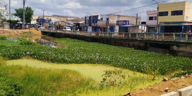 Obra em praça de Palmeira dos Índios tem R$ 15 milhões em irregularidades e licença ambiental suspensa pelo IMA