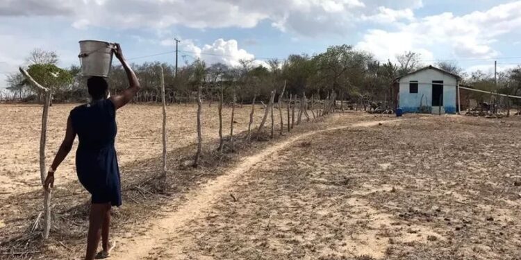 Seca severa deve atingir 30% dos municípios alagoanos, prevê Semarh