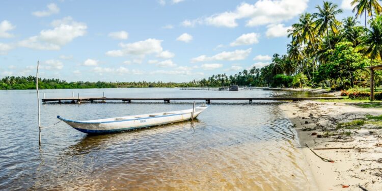 Pesquisadora analisa possível recuperação da Lagoa Mundaú: “contaminação, despejo de esgoto, retirada dos mangues”