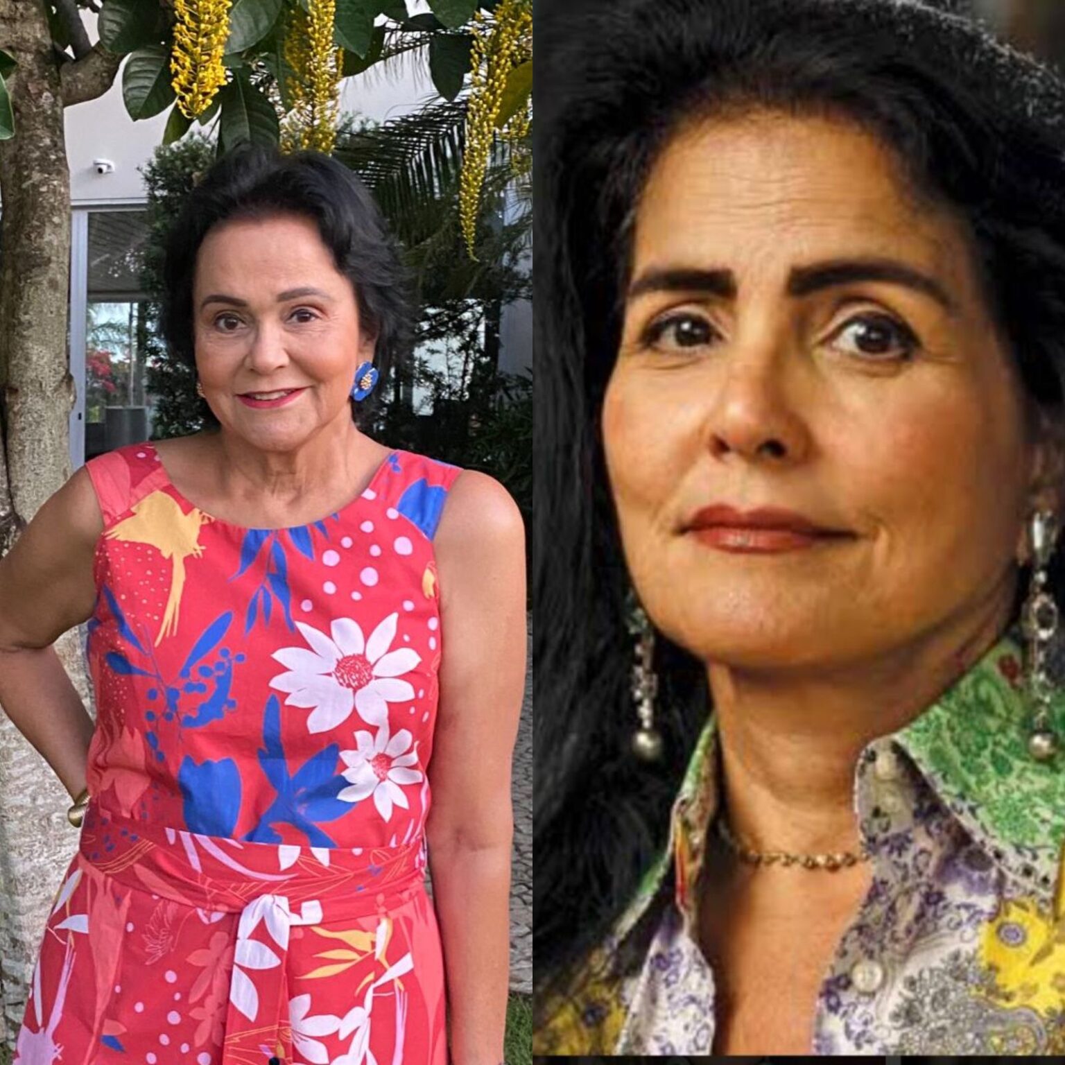 Thereza Collor no banco dos réus: Lourdinha Lyra protocola queixa-crime contra irmã Thereza Collor por calúnia e difamação