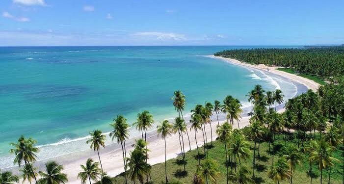 IMA sobrevoa praias para identificar novos pontos de maré vermelha