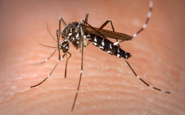 Saúde promete R$ 1,5 bilhão a estados e municípios com alta de casos de dengue