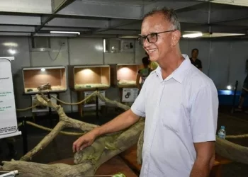 Ex-Prefeito de São José da Tapera é condenado por improbidade administrativa