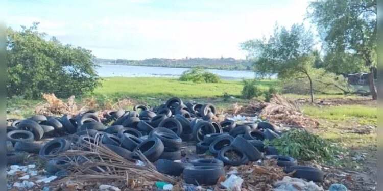 Centenas de pneus são descartados de forma irregular na Orla Lagunar