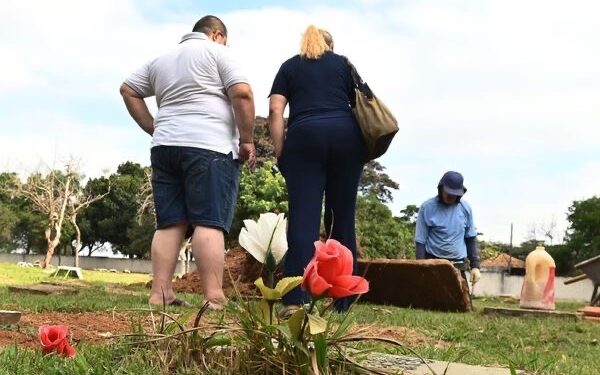 São Paulo registra 0 1º enterro de pet em jazigo de cemitério municipal