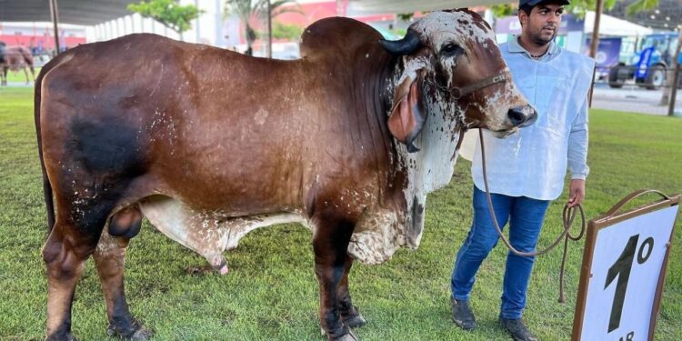 Expoalagoas Genética fatura R$ 6,5 milhões e ultrapassa expectativa