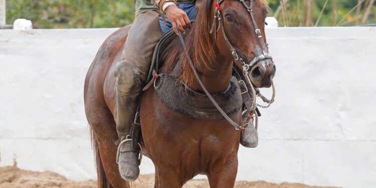‘Ele estava muito feliz’, diz avó de vaqueiro morto eletrocutado