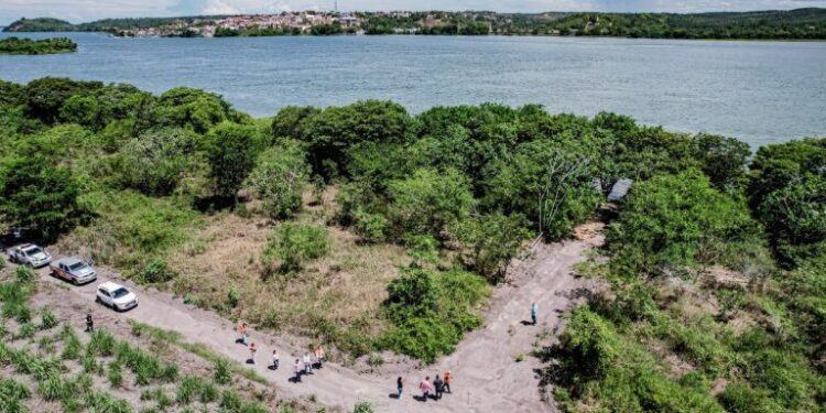 Equipes do DNIT e da Seinfra visitam local onde será instalado canteiro de obras da ponte Penedo-Neópolis