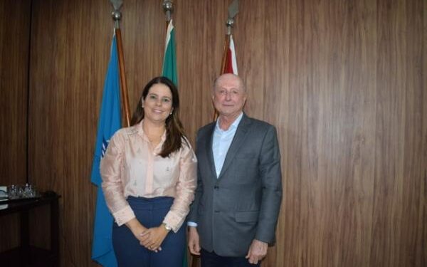 Presidente do Tribunal de Contas se reune com secretárias da Seplag e CGE