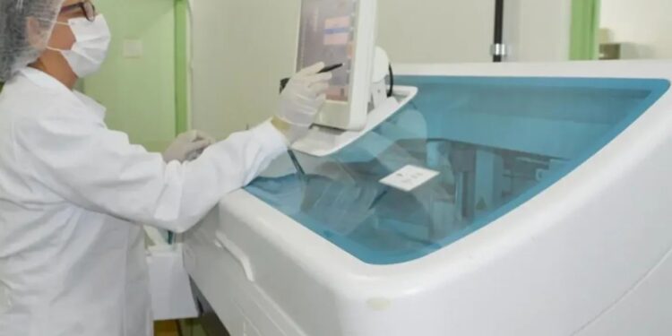 Alagoas registra primeiro caso da Febre do Oropouche; saiba o que é
