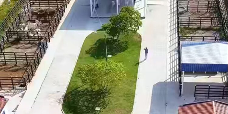 Prefeito de Inhapi atualiza população sobre reformas no Curral do Gado