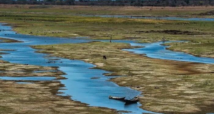 MPF instaura procedimento para acompanhar combate à seca no Sertão alagoano