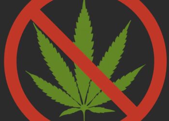 Câmara de Maceió aprova lei que multa em R$ 700 quem consumir maconha em público