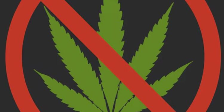 Câmara de Maceió aprova lei que multa em R$ 700 quem consumir maconha em público