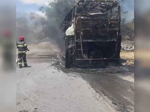 Ônibus incendeia em rodovia de AL, mas passageiros escapam a tempo