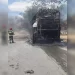 Ônibus incendeia em rodovia de AL, mas passageiros escapam a tempo