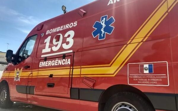 Árvore cai sobre caminhão e bloqueia rodovia em Maragogi