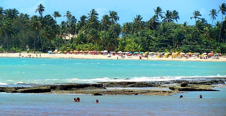 Bombeiro é atacado por cães em praia de Alagoas