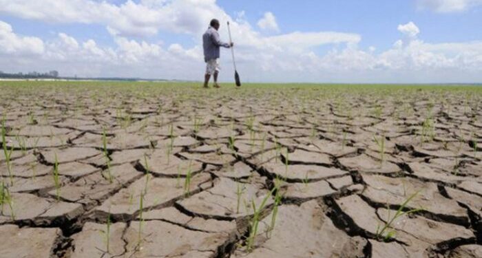Governo Federal declara situação de emergência em Major Isidoro por seca severa