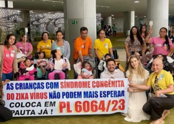 Câmara aprova projeto que beneficia e indeniza vítimas de microcefalia associada ao Zika Vírus