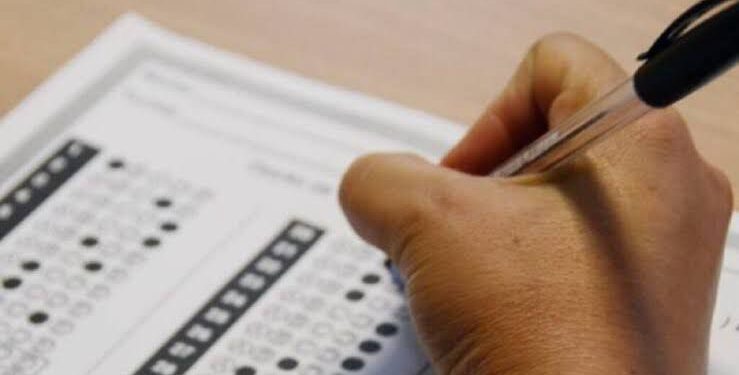 Prefeitura de Japaratinga cria 131 cargos efetivos e deve realizar concurso em breve; confira