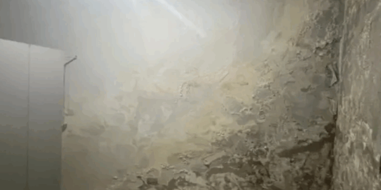 Riscos físicos e biológicos: vistoria recomenda interdição no Museu de História Natural da Ufal; Universidade afirma que “não tem orçamento” para reforma