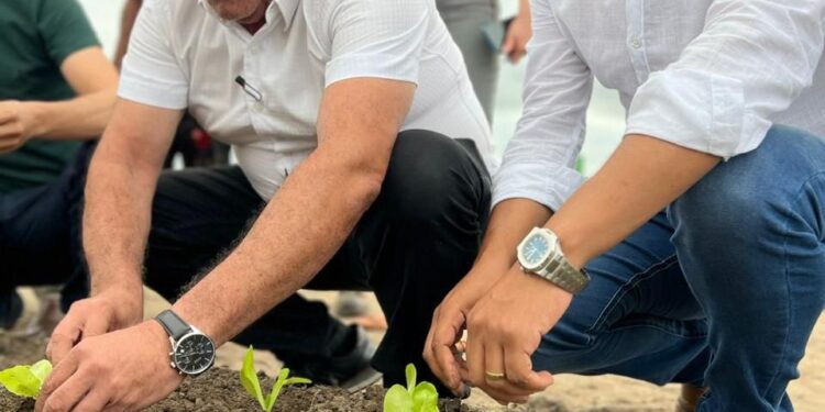 São Miguel dos Campos investe em agricultura sustentável com lançamento de hortas urbanas e apoio a famílias do campo