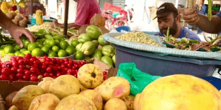 Feriado de Corpus Christi altera funcionamento do Shopping Popular e Mercado Público Municipal, em Arapiraca