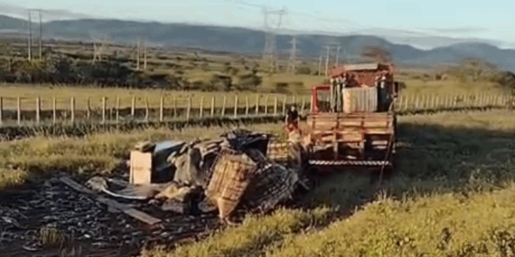 Caminhão carregado de tilápias sai da pista após manobra irregular de veículo na BR-423, em Delmiro Gouveia