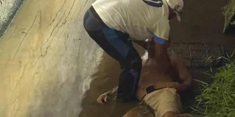 Torcedor cai no fosso do Rei Pelé durante partida entre CSA e Figueirense