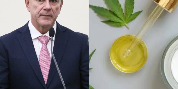 Governo regulamenta uso gratuito de cannabis medicinal em Alagoas Lei de autoria de Ronaldo Medeiros