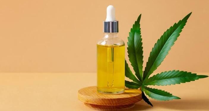 Após acionar Justiça para garantir cannabis no SUS, em AL, Defensoria alerta sobre lacunas no protocolo da Sesau: “Exclui várias doenças”