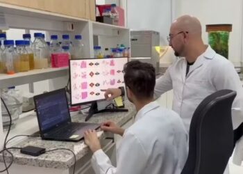 Equipe da USP de Ribeirão Preto desenvolve ferramenta com IA para entender a agressividade do câncer