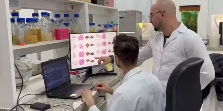 Equipe da USP de Ribeirão Preto desenvolve ferramenta com IA para entender a agressividade do câncer