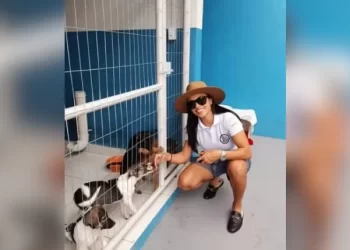 Vítimas de maus-tratos, cães são acolhidos em abrigo da jogadora Marta