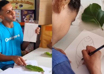 São Miguel dos Milagres incentiva educação ambiental com aula de ilustração científica