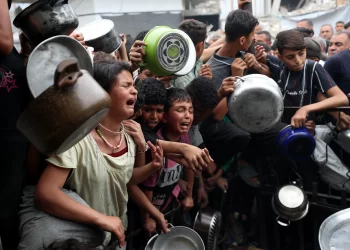 Entrada de mercadorias em Gaza será liberada aos poucos por comerciantes locais, diz Israel