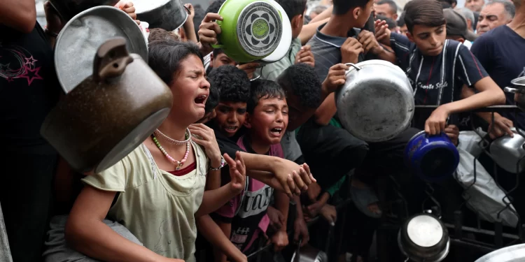 Entrada de mercadorias em Gaza será liberada aos poucos por comerciantes locais, diz Israel