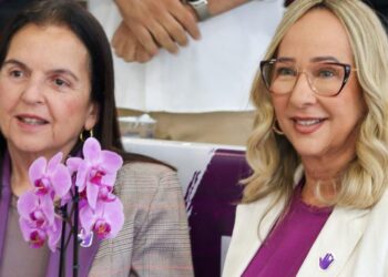 São Miguel dos Campos encerra Agosto Lilás com Audiência Pública sobre proteção à mulher