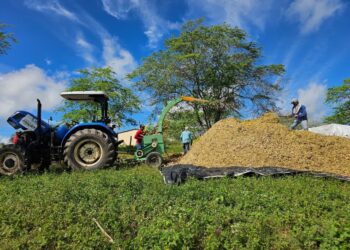 Prefeitura de Santana do Ipanema lança Programa Municipal de Produção de Silagem