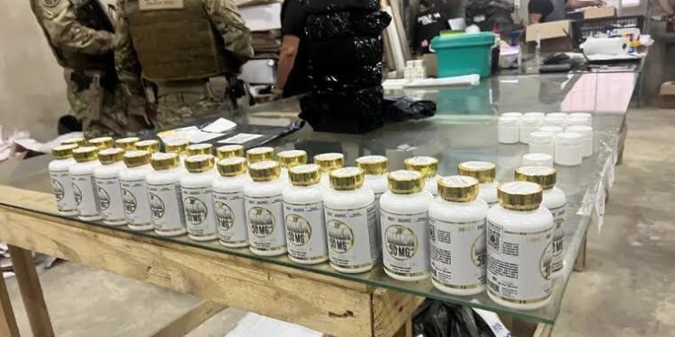 PC deflagra operação em Maceió contra venda ilegal de anabolizantes e canetas emagrecedoras