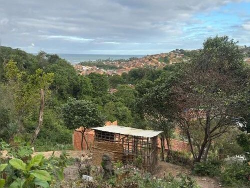 Comércio ilegal de terrenos acontece há 30 anos em Riacho Doce, diz polícia